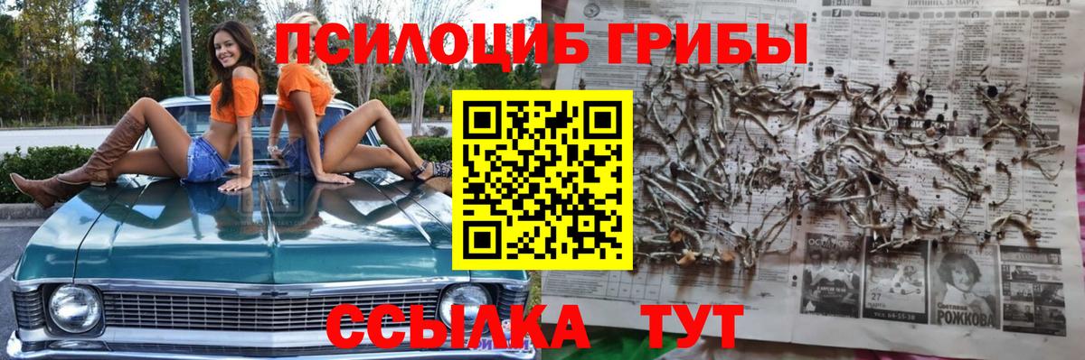 Великие Луки  Галлюциногенные грибы мицелий  Галлюциногенные грибы мицелий  Вход с VPN 